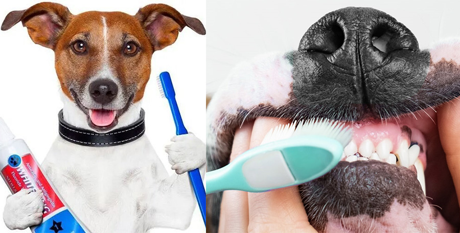 0.jpg 0.jpg