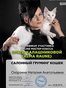 Груминг кошек