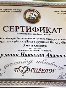 Азиатский стиль в пэт груминге груминге собак