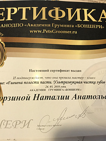 Лицензия на гигиену полости пасти