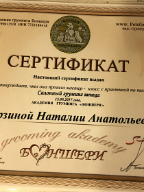 Лицензия на породный груминг собак