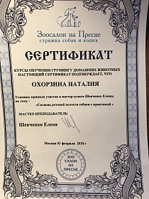 Лицензия на гигиену полости пасти
