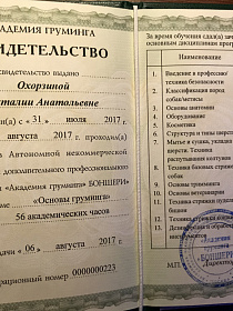 Лицензия на осуществление груминг услуг домашним животным
