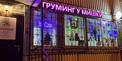 Груминг-салон у Мишки открыт и приглашает пушистых гостей